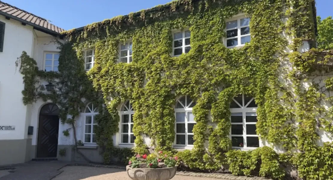 Efeubewachsenes Bürogebäude von code council in Darmstadt